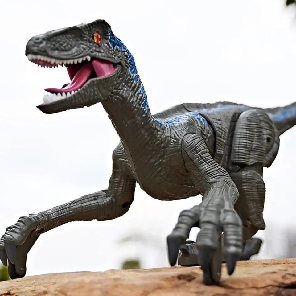 Figurina Dinozaur cu telecomanda, mers pe jos, Velociraptor cu lumini si sunet, Gri