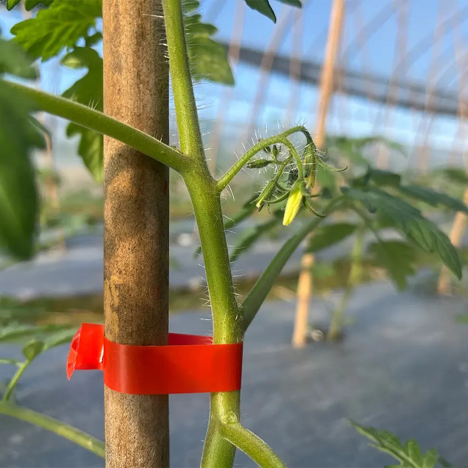 Aparat Legat Vita de Vie, Legume, Pomi Fructiferi Role si Capse Incluse